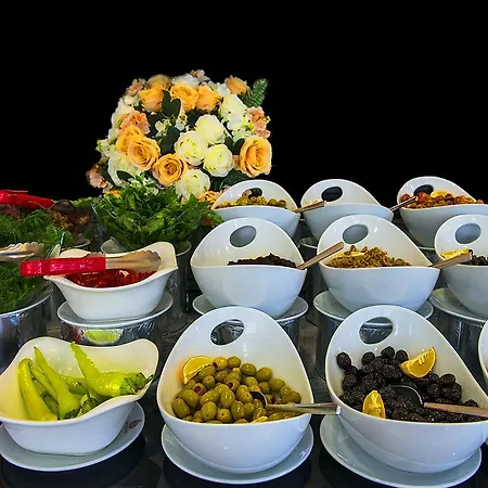 Hotel Ataol Termal &
